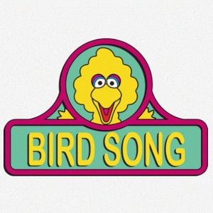 Grateful Dead big bird  birdsong shirt